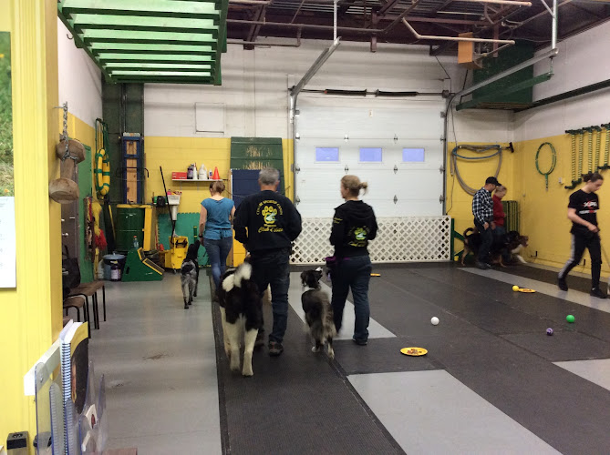 Centre Sportif Canin de Quebec