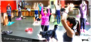 Dressage de chien | Mordu à l’os