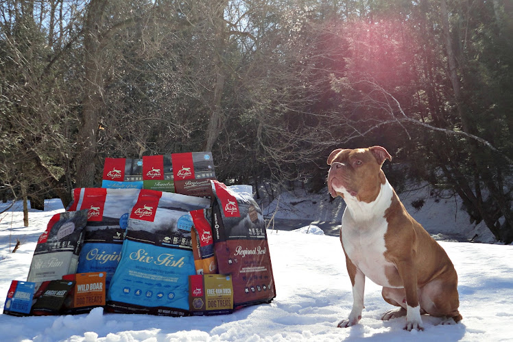 Nutrition Animale René-Lévesque