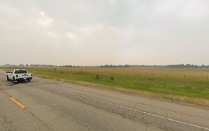 Companion Connections