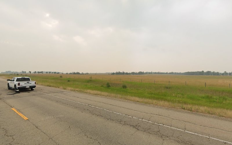 Companion Connections