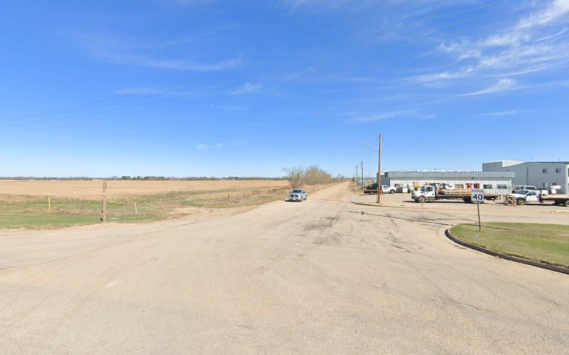 Ten Paws Up! Dog training