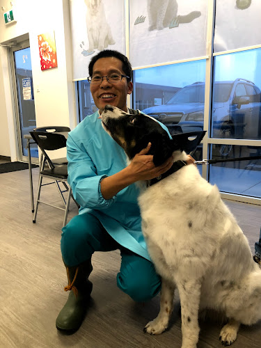 Bo’s Pet Service Centre