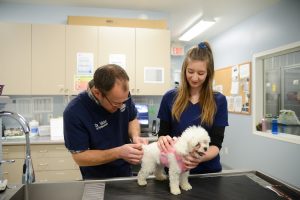 Gateway Veterinary Services