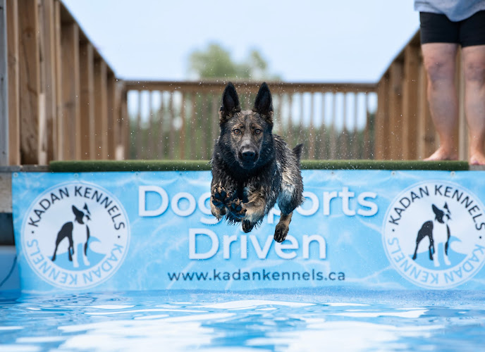 Kadan Kennels