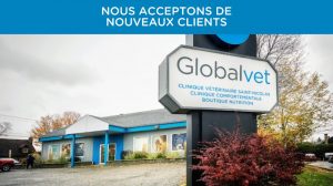 Globalvet – Veterinary Clinic St-Nicolas