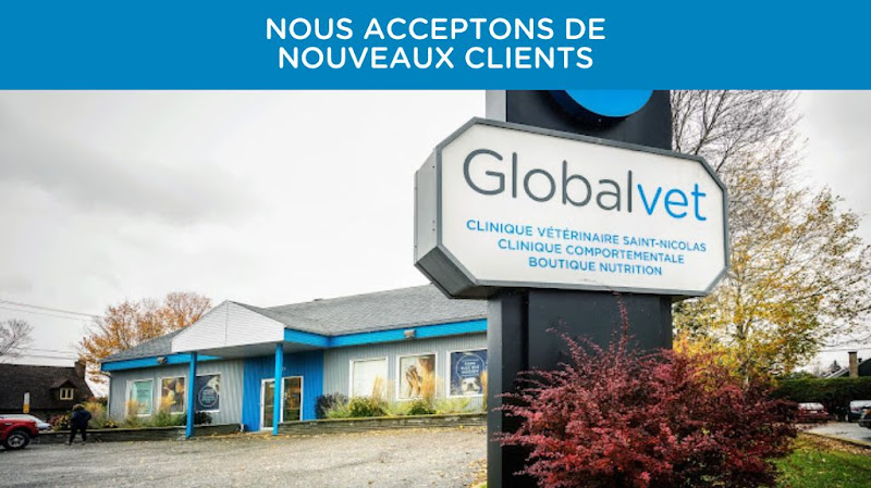 Globalvet – Veterinary Clinic St-Nicolas