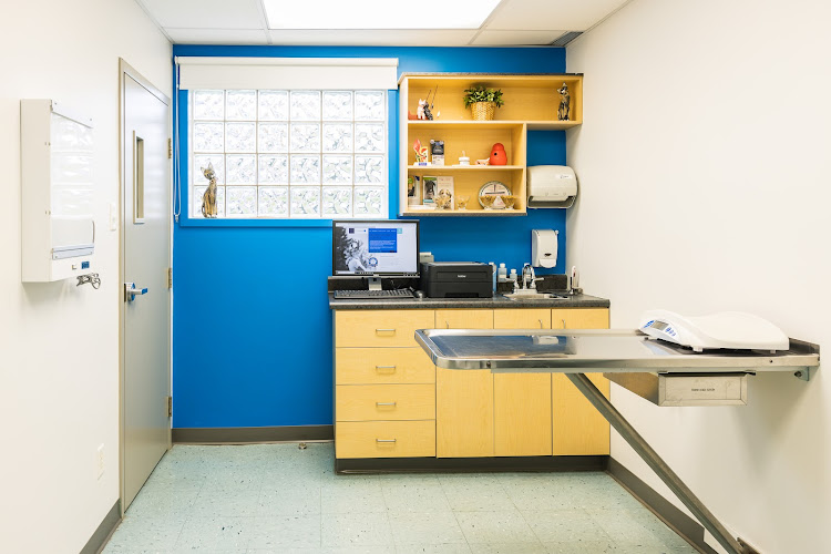 Globalvet – Veterinary Clinic Lévis