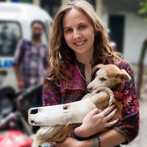 Hairy Tales Training