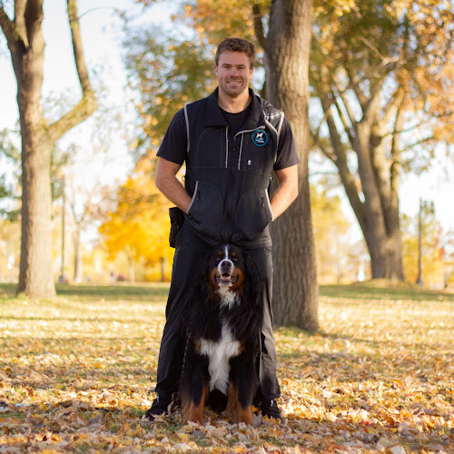 Southwest Dog Training