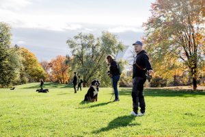 Montreal Canine Training Inc. / Entraînement Canin Montréal Inc.