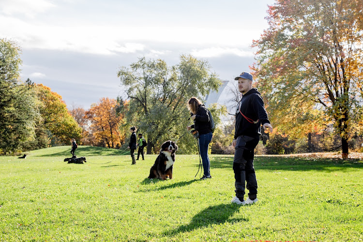 Montreal Canine Training Inc. / Entraînement Canin Montréal Inc.
