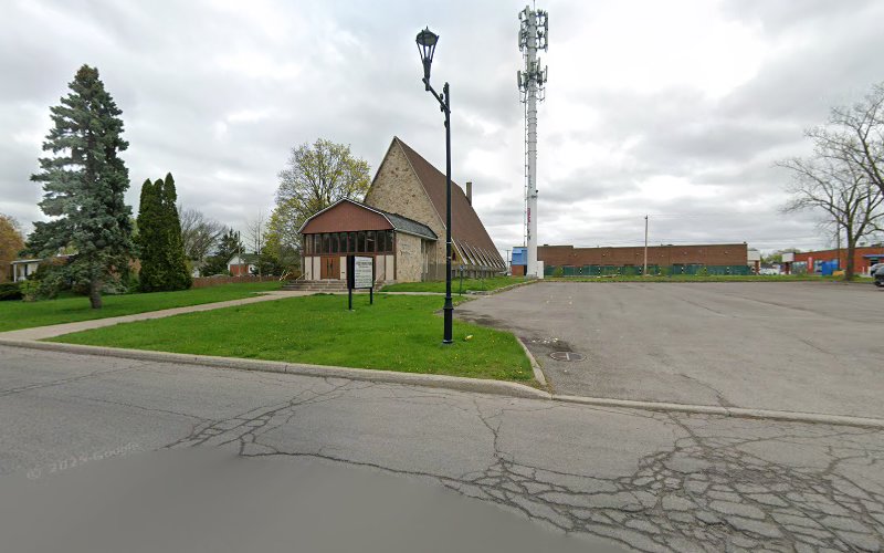 Lakeshore Dog Training