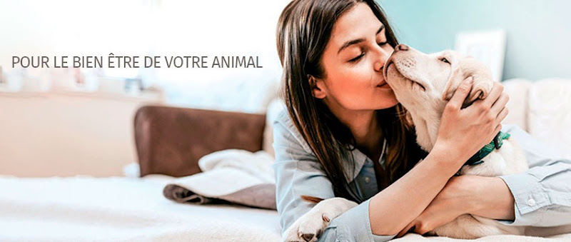 Pattes et Griffes – Saint-Denis