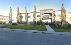 Just Fur Kids Dog Daycare