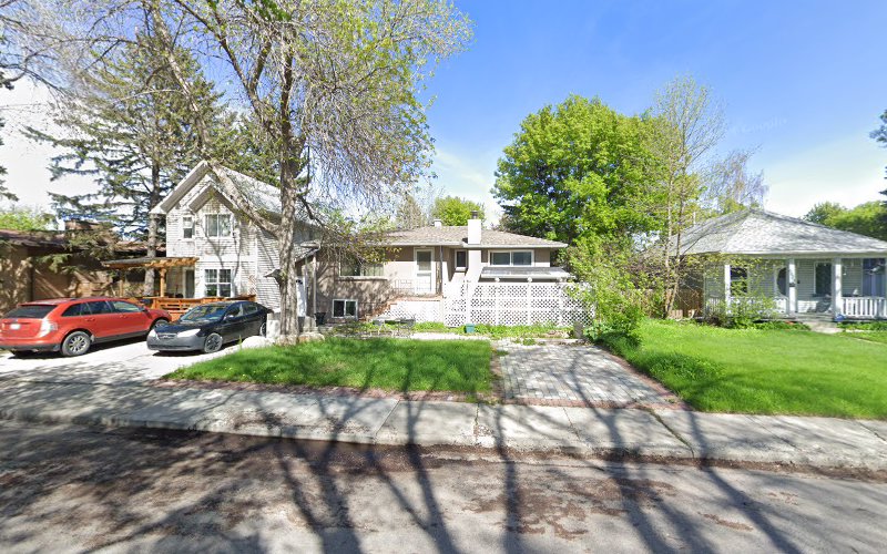 Sandra’s Dog Sitters and Dog Walkers