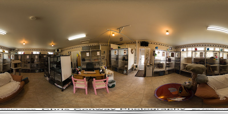 The Cat’s Meow Inn