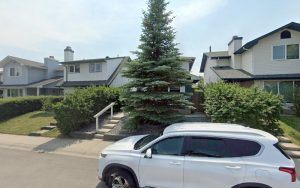 Teeny Tails Daycare & Boarding