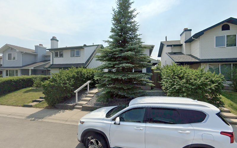 Teeny Tails Daycare & Boarding