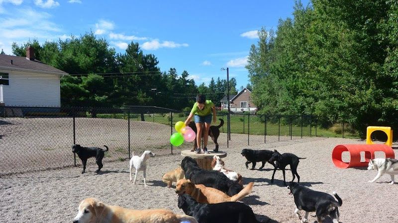 Mel’s Waggin Tail Inn