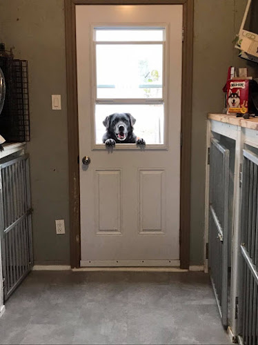 Garderie Pour Chien CANINO