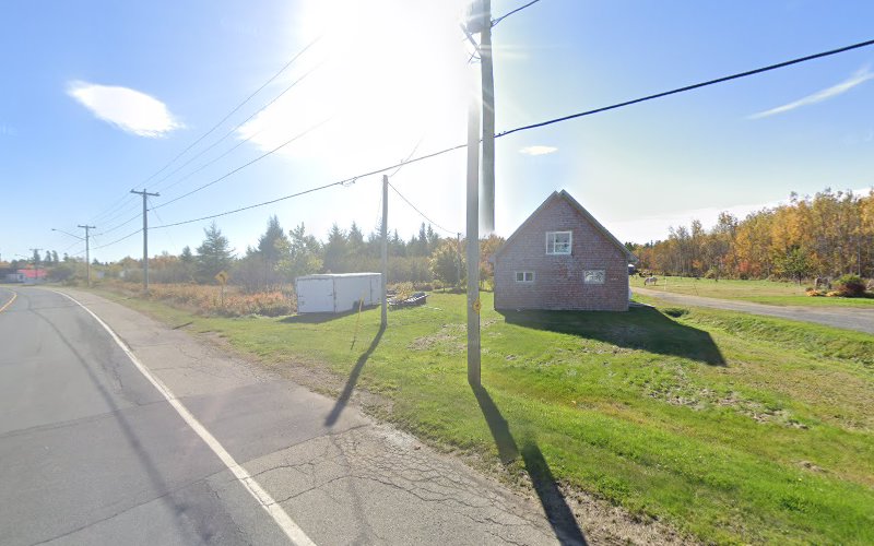 Toilettage création RC