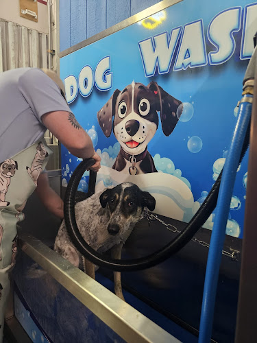 Televet Dog Wash