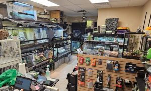 Aquatics & Exotics