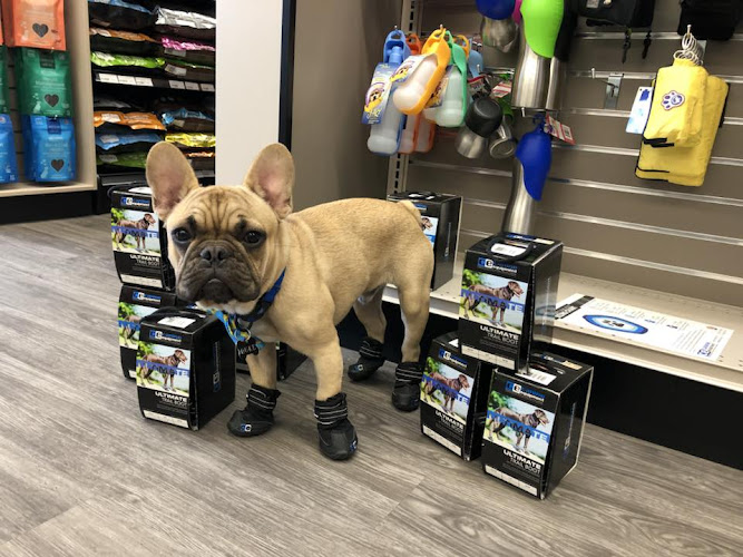 GLOBAL PET FOODS – KINGSTON WEST