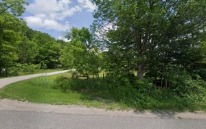 Blackpool Golden Retrievers