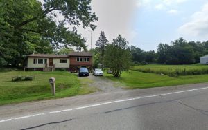 Masonridge Retrievers