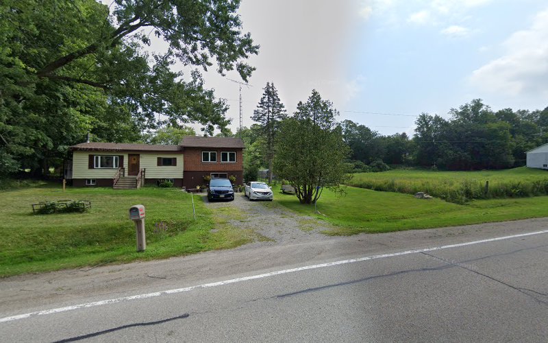 Masonridge Retrievers