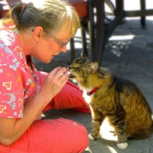 West Coast Sassy Cats