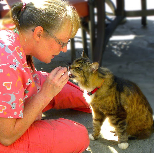 West Coast Sassy Cats