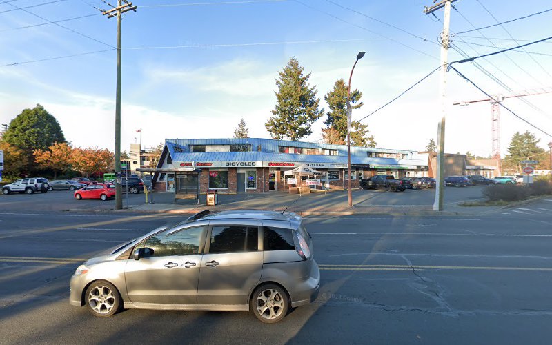 Zoomies Dog Grooming