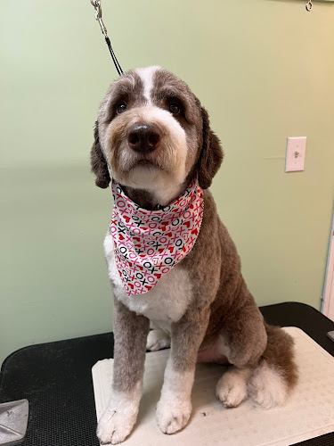 Halo’s Dog Grooming