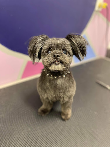 Collar & Comb Grooming Inc