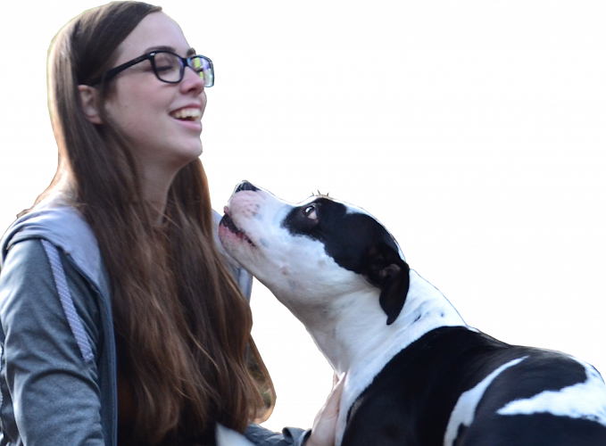 Seaside Canine Dog Training & Grooming