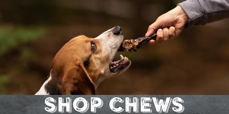 Troop Pet Products
