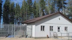 Whitecourt Kennels