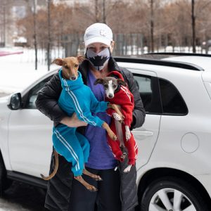 Paws en route – Pet Taxi, Relocation & Travel