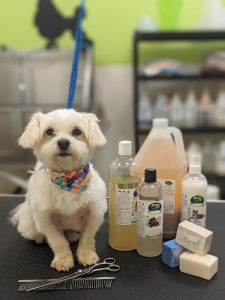 Espace Chien Inc.