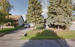 Pet Sitting Pincourt