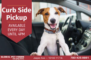 Global Pet Foods Jasper Ave