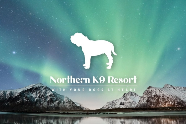 Northern K9 Resort