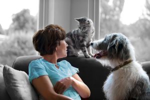 VCA Canada 17th Avenue Animal Hospital