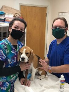 Kingston Veterinary Clinic