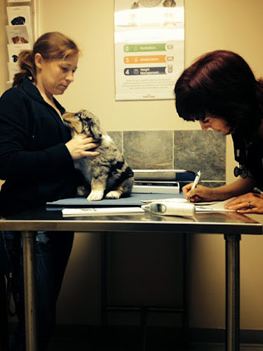 Barriefield Animal Hospital