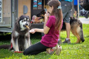 Princess Animal Hospital