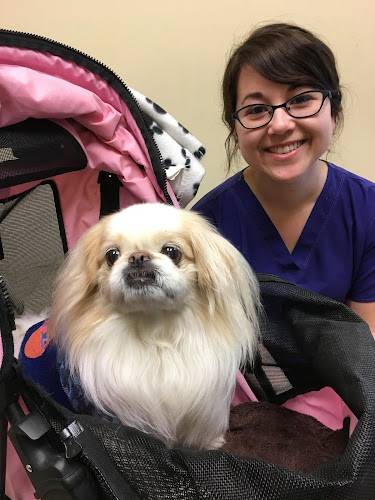 Sims Animal Hospital